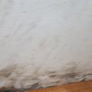 칠성세탁소 이미지