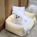 A. DOG(어독) 이미지