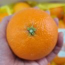 욱이네 농장 이미지