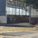 지현초등학교 이미지