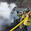 무릉도원면-24 이미지