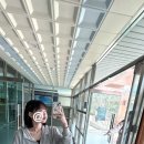 내사랑똥강아지 이미지