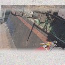 늘푸른 애견샵 이미지