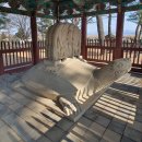 25호공원 | 국보 제 25호 경주 태종무열왕릉비