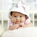 김하음 카카오 검색결과