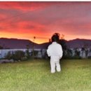 산과산사이민박 이미지