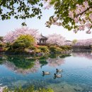 봄날 - 전주시 완산구 서학3길 44 | 봄날