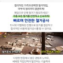 지앤미약국 이미지