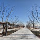 도시상징광장 이미지