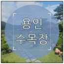 중부-현장-중부-2008 | 용인 수목장 분양가격 비교와 현장 방문 전 꼭 알아야 할 핵심 정보