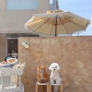 하단공영주차장 입구 이미지