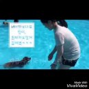 수영초보 행복이 수영 동영상:) 이미지