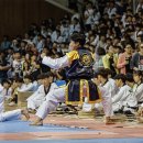 동아대 빛 태권도 이미지