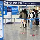 제주에니멀119주식회사 | 이번 추석, 알아두면 좋을 &#39;교통 꿀팁&#39; 모았습니다 [박장식의 환승센터]