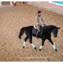 실내승마장(관람석) 이미지