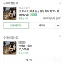 제주도 차박 차크닉 피크닉 용품 대여 ‘다랑아래’ 후기