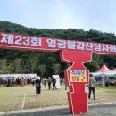 제23회 광명 불갑산 상사화 축제 이미지