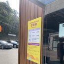 폭포가든 | 포천 여행 : Y자 출렁다리, 한탄강 가든 페스타, 비둘기낭 폭포 다녀온 후기