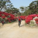 일MTB 이미지