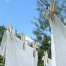 세탁의정석 이미지