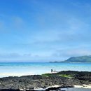 제주로와 이미지