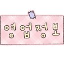 노우즈고양 네이버블로그
