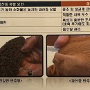 현태농장 이미지