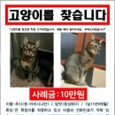 원유통 이미지