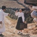 둥글상회 이미지