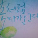 복덩어리 이미지
