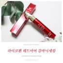 화장품속으로