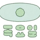 흰돌 스크린 골프 네이버블로그