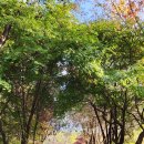 원미공원 이미지