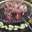 갈매기먹짱 이미지