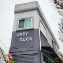 그레이덕(grey duck)