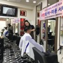 마를린헤어 이미지