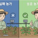 관수농장 | 정밀관수 실패·성공 사례 비교 예시