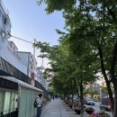 멍텅구리 - 강남구 | 멍텅구리