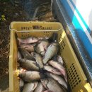 약산낚시터 이미지