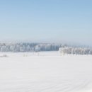 깨끗한의원 이미지