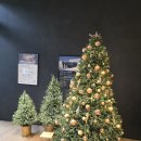 한성모터스 | 벤츠 서비스센타 방문후기 수원한성모터스