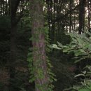 안동여자중학교 이미지