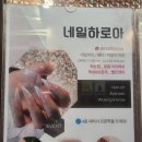 디자인하로아