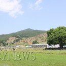 이제길 정려 Daum카페