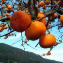 비타민한의원 이미지