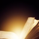 독서로 가꾸는 삶 이미지