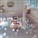 천안 아이랑 오감놀이 체험 키즈카페 오밀쪼밀 솔직 후기(아기 수영장)
