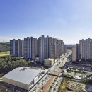 씨엠캠프 이미지