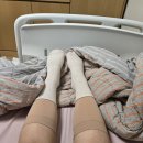 쉬즈미즈 - 창원시 마산합포구 동서동로 18 | 유성 미즈제일여성병원 출산 제왕절개 퇴원 조리원 이동