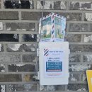 블루몽즈 이미지